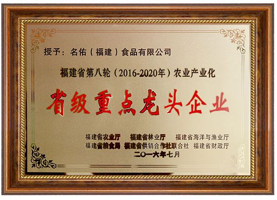 2016省級重點龍頭企業